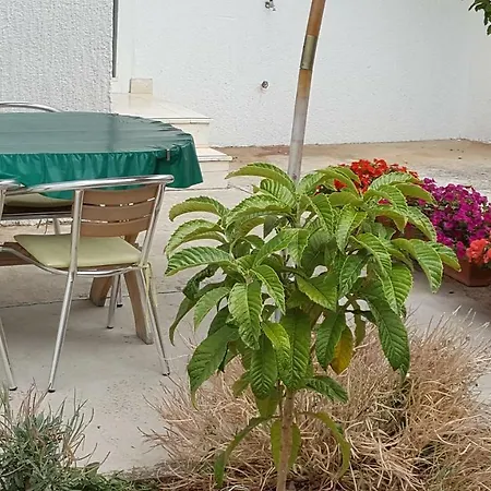 Apartment By The Sea Jezera, Murter - 5120